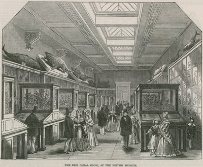 The New Coral Room at the British Museum by English School