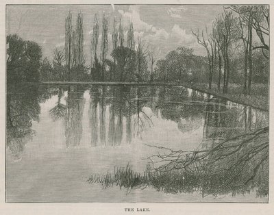 The new public park at Highgate: the lake by English School