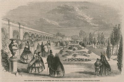 The Opening Exhibition of Flowers and Fruit in the Gardens of the Royal Horticultural Society by English School