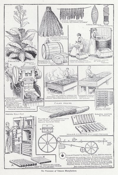 The Processes of Tobacco Manufacture by English School