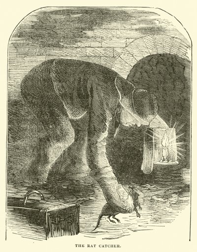 The rat catcher by English School