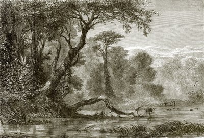 The river Phasis by English School