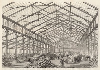 The show of American plants in the Ashburham Pavilion, Cremorne Gardens by English School
