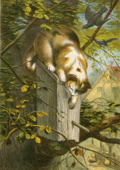 The starling and its nest, and the cat by English School