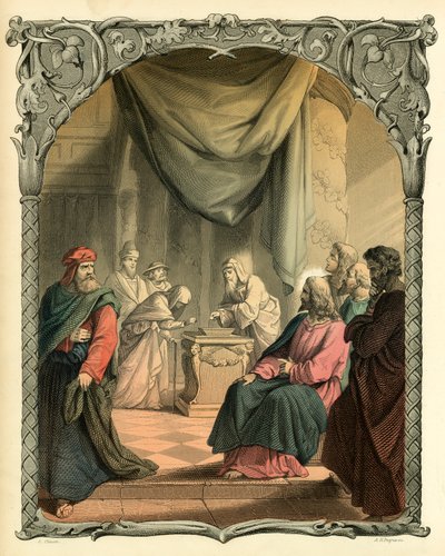 The Widow