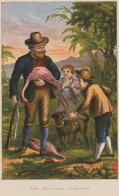 The Wounded Flamingo by English School