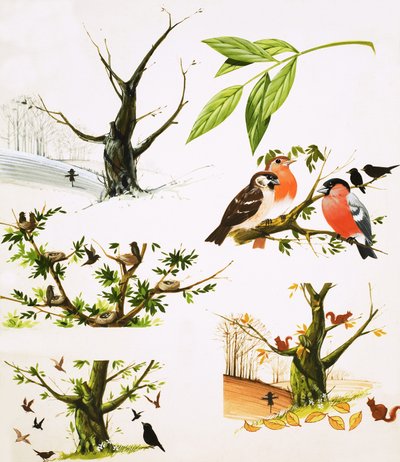 The Year of the Tree by English School