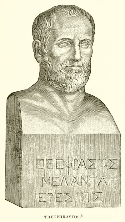 Theophrastus by English School