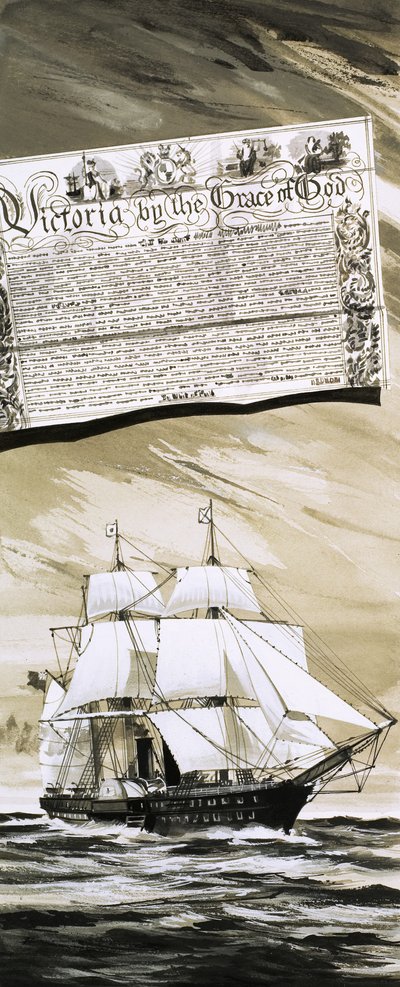 They Sailed the Seven Seas: Great Steamers, White and Gold (The Royal Mail Line) by English School