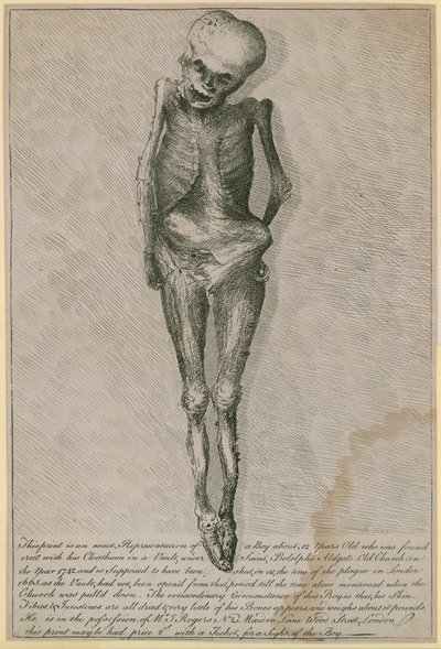This Print is an Exact Representation of a Boy About 12 Years Old by English School