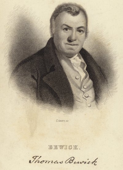 Thomas Bewick by English School