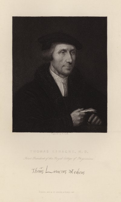 Thomas Linacre by English School
