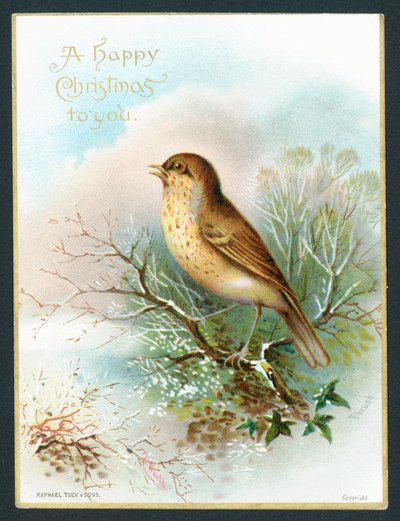 Thrush by English School
