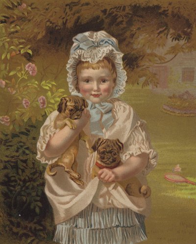 Tiny Pets by English School