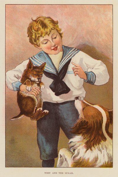 Toby and the Sugar by English School