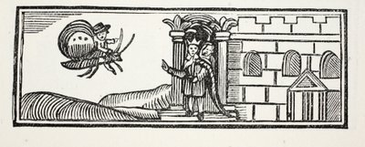 Tom hid himself and tried to escape on the back of a butterfly (illustration) by English School