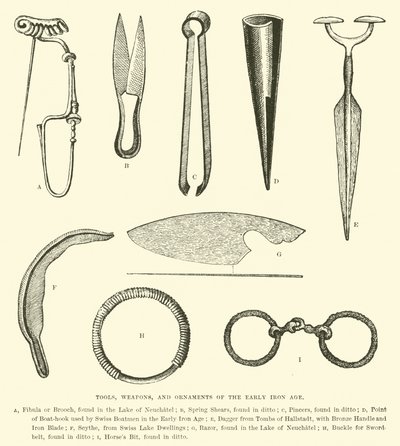 Tools, Weapons, and Ornaments of the Early Iron Age by English School