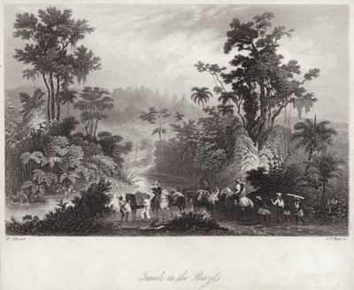 Travels in the Brazils by English School