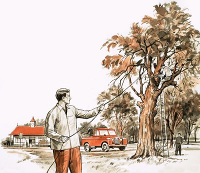 Tree surgeon by English School