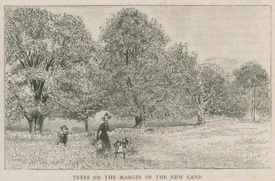 Trees on the Margin of the New Land by English School