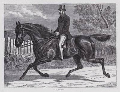 Trotting by English School