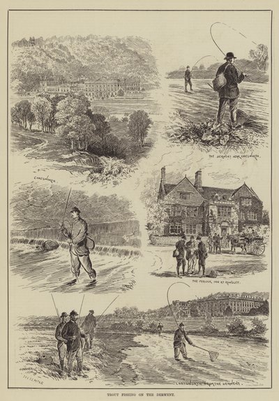 Trout Fishing on the Derwent by English School