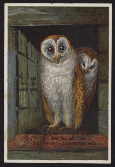 Two Owls Looking Out of a Doorway by English School