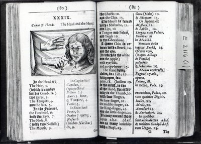 Two pages from Orbis Sensualium Pictus by Comenius, 1659 by English School