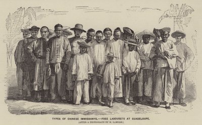 Types of Chinese Immigrants, Free Labourers at Guadeloupe by English School