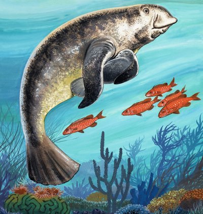 Undersea Creatures by English School