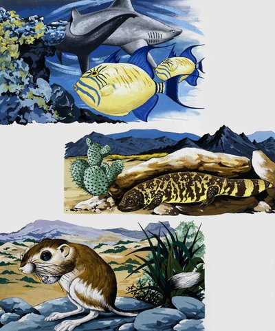 Underwater Creatures and Mouse by English School