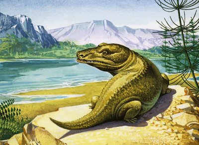 Unidentified Crocodile-like Dinosaur by English School