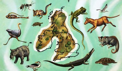 Unidentified Montage of Animals Around Map of Great Britain by English School