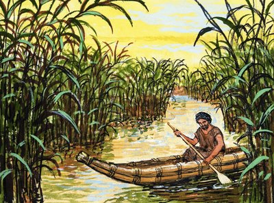 Unidentified Native Rowing Amongst Tall Reeds by English School