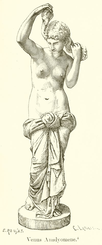 Venus Anadyomene by English School