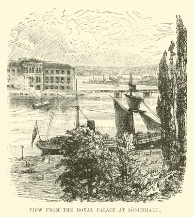 View from the Royal Palace at Sodermalm by English School