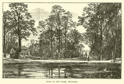 View in the Park, Brussels by English School