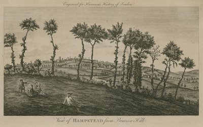 View of Hampstead from Primrose Hill by English School