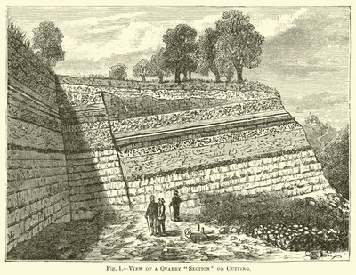 View of a Quarry Section or Cutting by English School