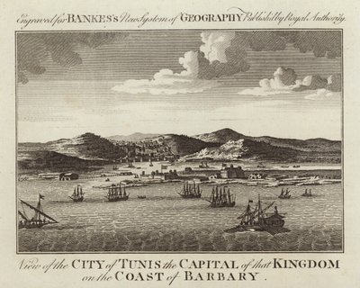 View of the City of Tunis by English School