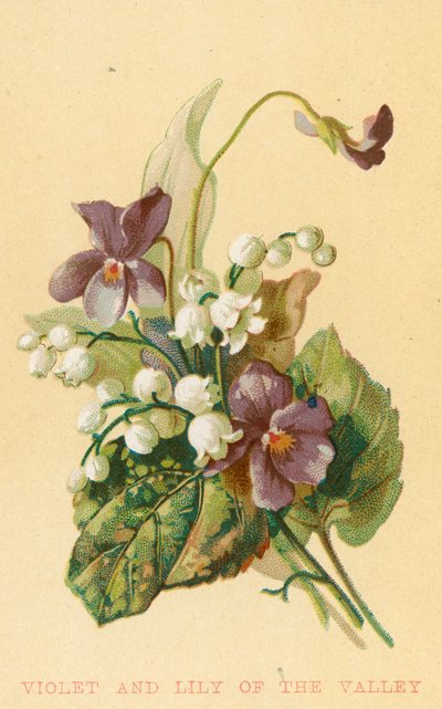 Violet and Lily of the Valley by English School