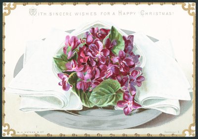 Violets by English School