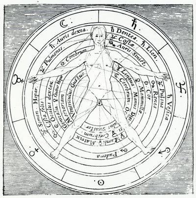 Vitruvian figure, from 