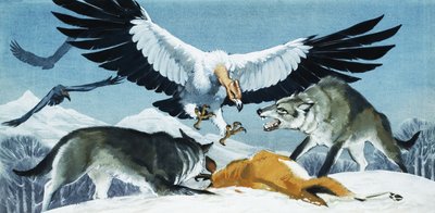 Vulture and Wolves by English School