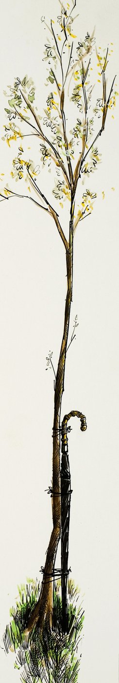 Walking Stick with Tree by English School