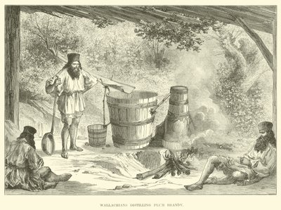 Wallachians Distilling Plum Brandy by English School
