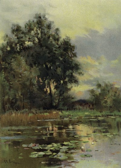 Water Lilies by English School