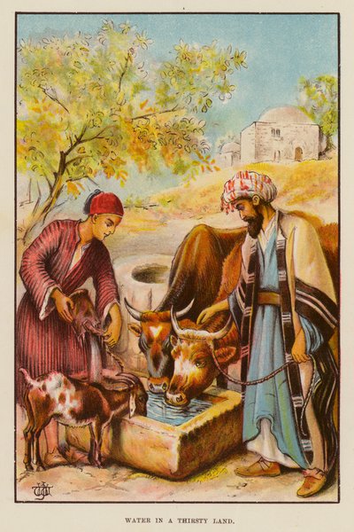 Water in a Thirsty Land by English School