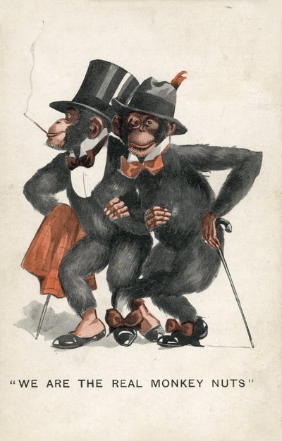 We are the real Monkey Nuts by English School