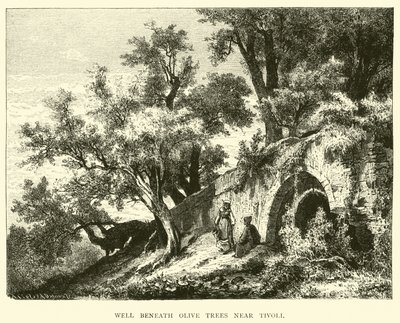 Well beneath Olive trees near Tivoli by English School